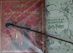 Harry Potter: Magical Places from the Films: Hogwarts, Diagon Alley, and Beyond (Inglês) Capa dura - comprar online