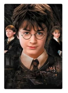 Puzzle Rompecabezas Harry Potter y La Piedra Filosofal 150 Piezas Vulcanita Harry Potter Hermione Granger Ron Weasley - comprar online