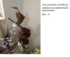 Ave exótica João de Barro