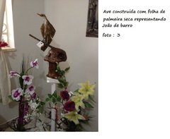 Ave exótica João de Barro na internet