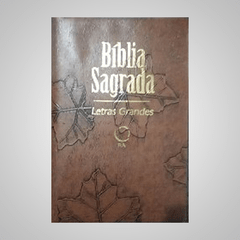 Bíblia Sagrada - Letras grandes - RA