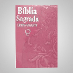 Bíblia Sagrada - Letra Gigante RA na internet