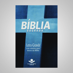 Bíblia Sagrada - Letra Grande - Com Roteiros para Leitura da Bíblia - comprar online