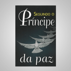 Seguindo o Principe da Paz - Marvin Rohrer