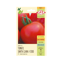 Semente - Tomate Santa Clara I - 5300 | Isla 273