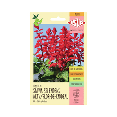 Semente - Salvia Splendens Alta / Flor-De-Cardeal | Isla 446