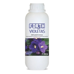 Violeta 1L - Forth