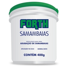 Samambaia 400G - Forth