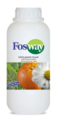 Fosway 1L - Forth