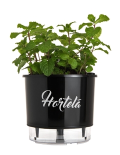 Vaso Autoirrigável Preto - Linha Gourmet Hortelã