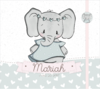 Albúm de Fotos e Recordações / Livro do Bebê Elefantinha Coração