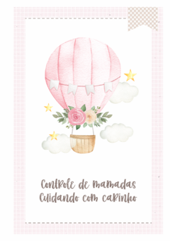 Caderneta de Saúde e Vacinação Personalizada com Capa Dura - Monograma Balões Menina na internet