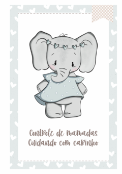 Caderneta de Saúde e Vacinação Personalizada com Capa Dura - Elefantinha Coração na internet