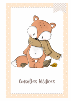 Imagem do Caderneta de Saúde e Vacinação Personalizada com Capa Dura - Raposinha Baby
