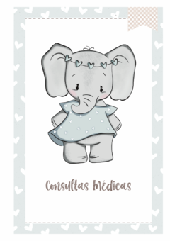 Imagem do Caderneta de Saúde e Vacinação Personalizada com Capa Dura - Elefantinha Coração