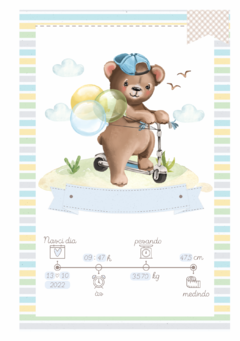 Caderneta de Saúde e Vacinação Personalizada com Capa Dura - Meu Amigo Urso na internet