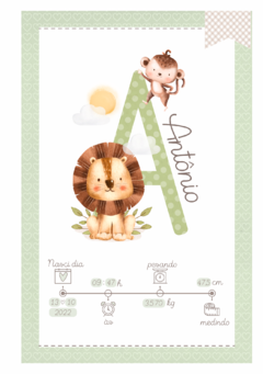 Caderneta de Saúde e Vacinação Personalizada com Capa Dura - Monograma Safari Boy - comprar online