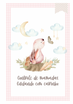 Caderneta de Saúde e Vacinação Personalizada com Capa Dura - Monograma Coelhinho Girl na internet