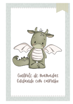 Caderneta de Saúde e Vacinação Personalizada com Capa Dura - Dragão Baby na internet