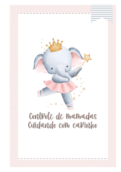 Caderneta de Saúde e Vacinação Personalizada com Capa Dura - Elefantinha Bailarina na internet