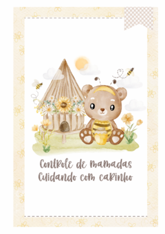 Caderneta de Saúde e Vacinação Personalizada com Capa Dura - Ursinha Abelhinha na internet