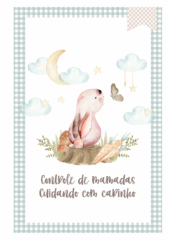 Caderneta de Saúde e Vacinação Personalizada com Capa Dura - Monograma Coelhinho Boy na internet