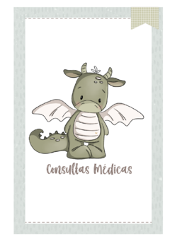 Imagem do Caderneta de Saúde e Vacinação Personalizada com Capa Dura - Dragão Baby