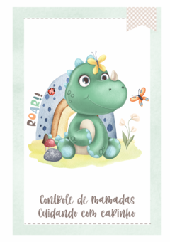 Caderneta de Saúde e Vacinação Personalizada com Capa Dura - Dino Baby Cute na internet