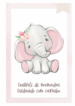 Caderneta de Saúde e Vacinação Personalizada com Capa Dura - Elefantinha Cute na internet