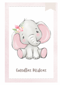 Imagem do Caderneta de Saúde e Vacinação Personalizada com Capa Dura - Elefantinha Cute