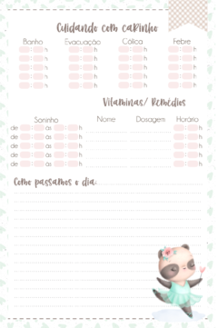 Caderneta de Saúde e Vacinação Personalizada com Capa Dura - Panda Bailarina - loja online