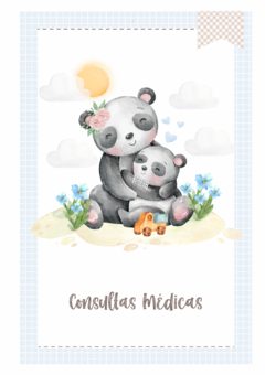 Imagem do Caderneta de Saúde e Vacinação Personalizada com Capa Dura - Panda Mãe e Filho