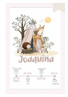 Caderneta de Saúde e Vacinação Personalizada com Capa Dura - Bosque Baby Girl - comprar online