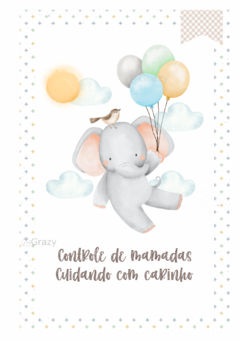 Caderneta de Saúde e Vacinação Personalizada com Capa Dura - Elefantinho Divertido na internet