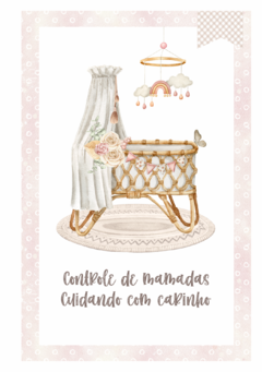 Caderneta de Saúde e Vacinação Personalizada com Capa Dura - Baby Boho na internet