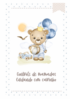 Caderneta de Saúde e Vacinação Personalizada com Capa Dura - Ursinho Carros na internet
