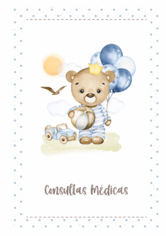 Imagem do Caderneta de Saúde e Vacinação Personalizada com Capa Dura - Ursinho Carros