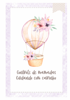 Caderneta de Saúde e Vacinação Personalizada com Capa Dura - Balão Floral na internet