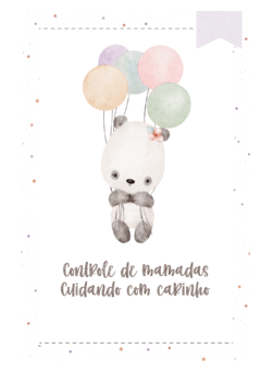 Caderneta de Saúde e Vacinação Personalizada com Capa Dura - Panda Balões na internet