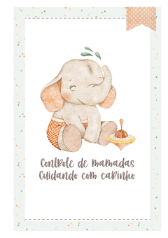 Caderneta de Saúde e Vacinação Personalizada com Capa Dura - Elefante Baby na internet
