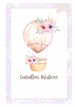 Imagem do Caderneta de Saúde e Vacinação Personalizada com Capa Dura - Balão Floral