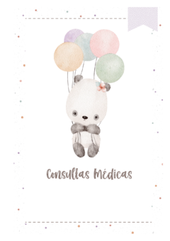 Imagem do Caderneta de Saúde e Vacinação Personalizada com Capa Dura - Panda Balões