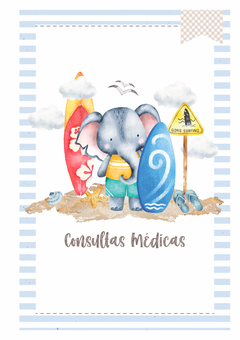 Imagem do Caderneta de Saúde e Vacinação Personalizada com Capa Dura - Elefante Surfista