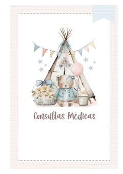 Imagem do Caderneta de Saúde e Vacinação Personalizada com Capa Dura - Brinquedos Girl