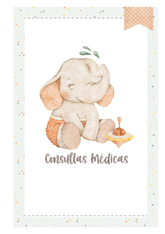 Imagem do Caderneta de Saúde e Vacinação Personalizada com Capa Dura - Elefante Baby