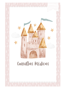 Imagem do Caderneta de Saúde e Vacinação Personalizada com Capa Dura - Castelo Girl