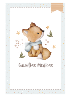 Imagem do Caderneta de Saúde e Vacinação Personalizada com Capa Dura - Raposinha Cute