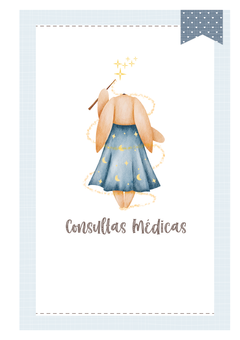Imagem do Caderneta de Saúde e Vacinação Personalizada com Capa Dura - Coelhinha Star