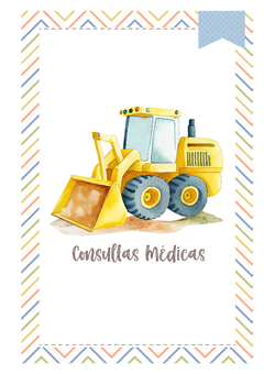 Imagem do Caderneta de Saúde e Vacinação Personalizada com Capa Dura - Meu Construtor