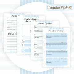 Caderneta de Saúde e Vacinação Personalizada com Capa Dura - Ursinho Azul Vintage - comprar online